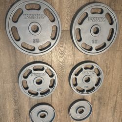 Olympic Reconditioned IVANKO’S  Weight plates  45s, 35s, 25s And 10s [230 Pounds]