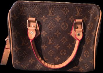 Louis Vuitton Monogram Speedy Handbag