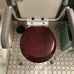 Toilet Grab Bar Assembly