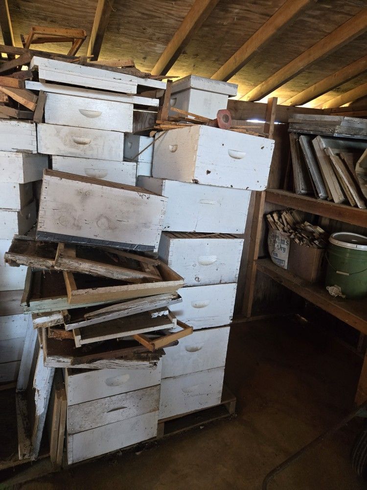 Bee Equipment