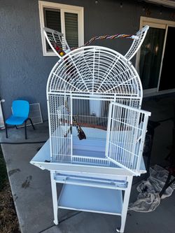 Large parrot cage purchased from magnolia bird farm