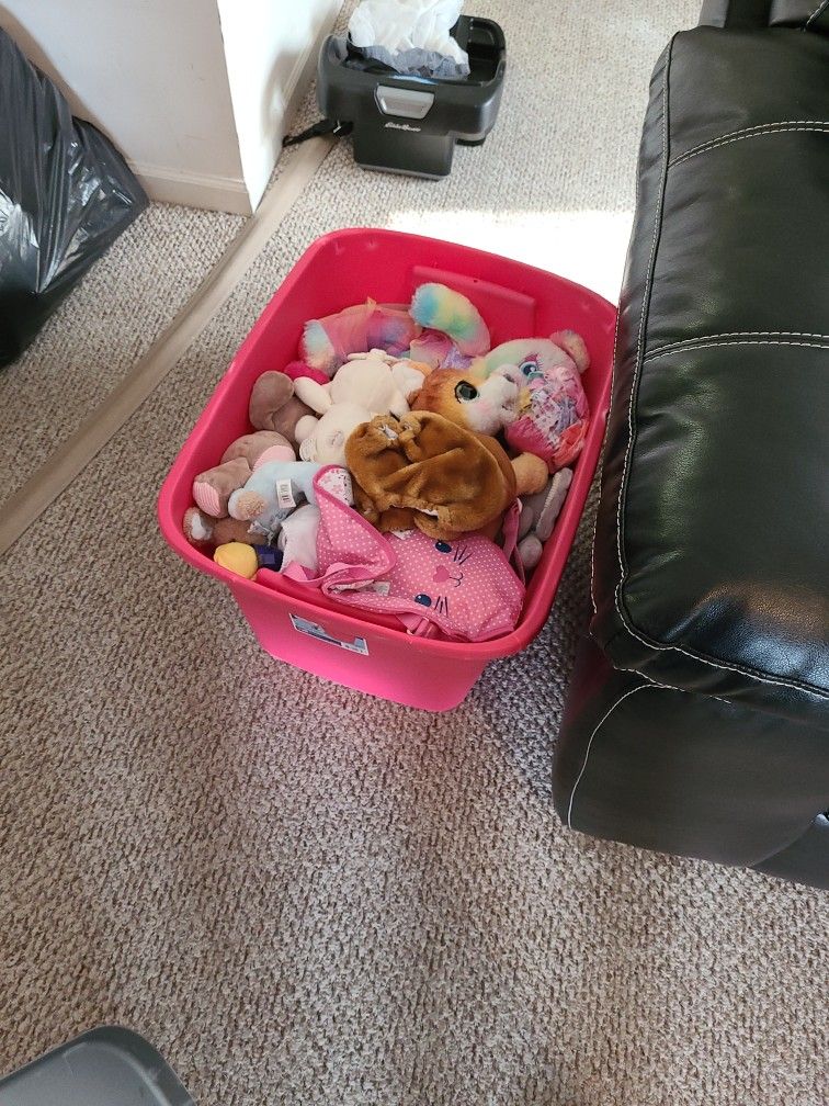 Box Of Assorted Toys From Stuffed Animals To Baby Dolls 