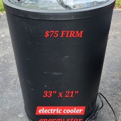 Electric Cooler For Cans READ DESCRIPTION 