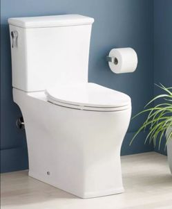 Toilet Replacement