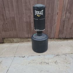 Everlast Power Core punching
