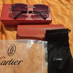 Men’s Cartier Sunglasses