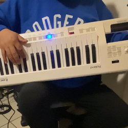 Roland Lucina Synthesizer AX-09