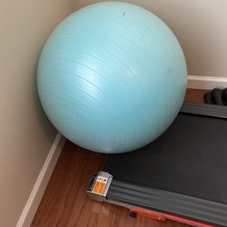 Exercise Ball