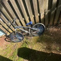 TREK bike 