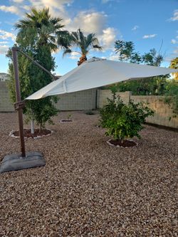13 ft Costco Outdoor Umbrella