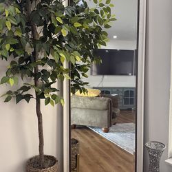 fake plant, mirror, and a vase