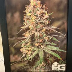 Reflective High Grade Wall Poster