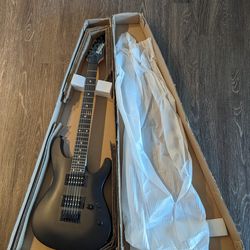 Ibanez Gio GS221 Electric Guitar (Black Matte)
