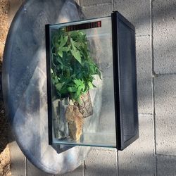 20 Gal Terrarium 