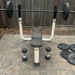Olympic Weights 