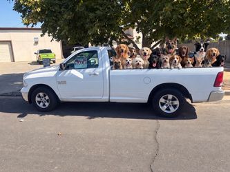 2013 Dodge Ram 1500