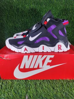 Size 13 - Nike Air Barrage QS Mid Raptors