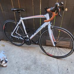 Fuji Road Bike 