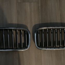 BMW Grille