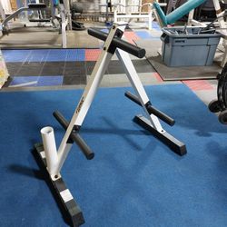 Weight Tree / Plate Stand / Gym / Gymnasio / Fitness / Weights