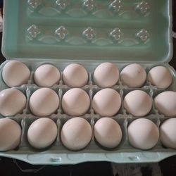 Fresh Eggs 🥚   4 Dollars For 12. 6 For 18. 