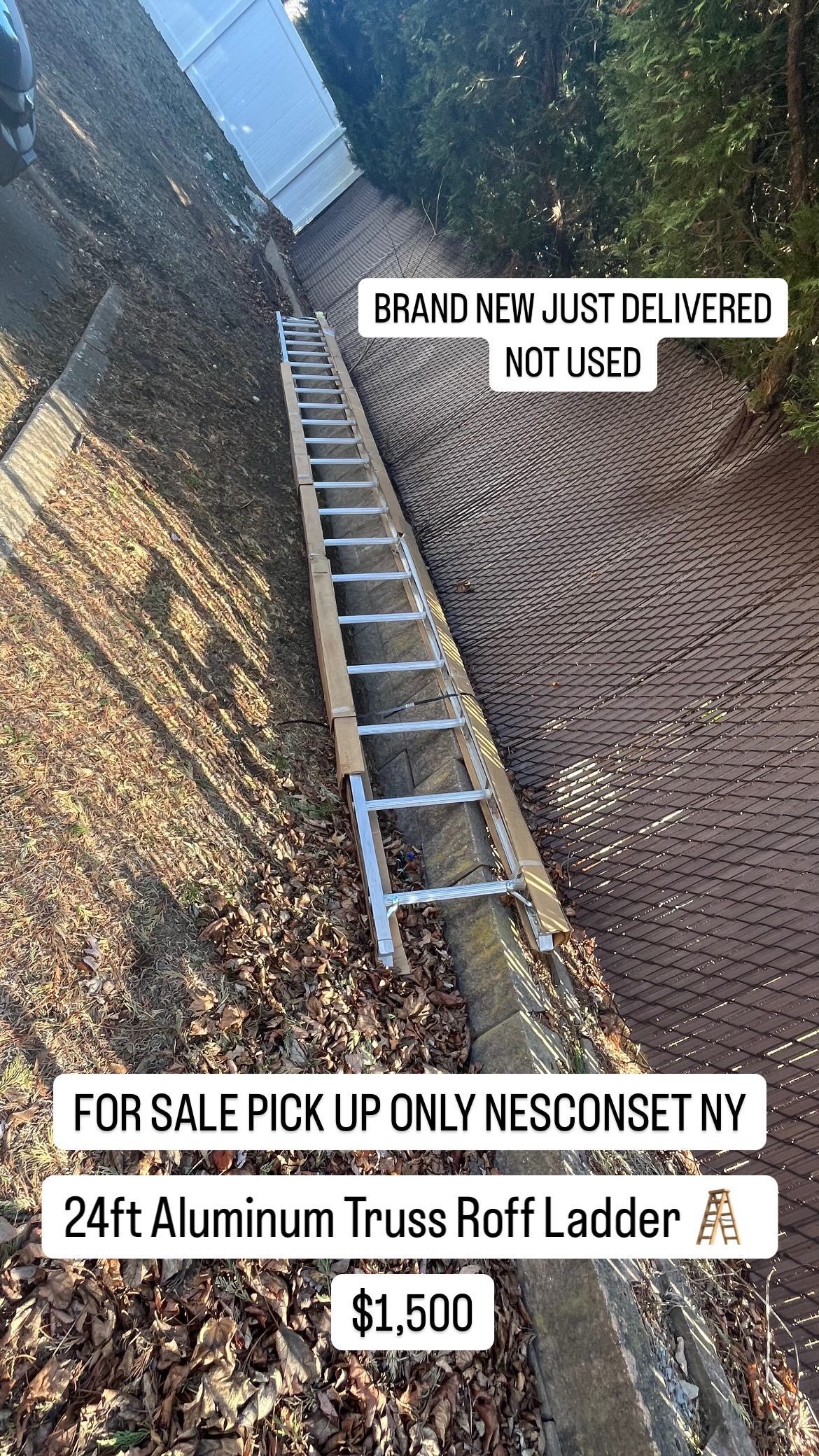 24’ Aluminum Ladder