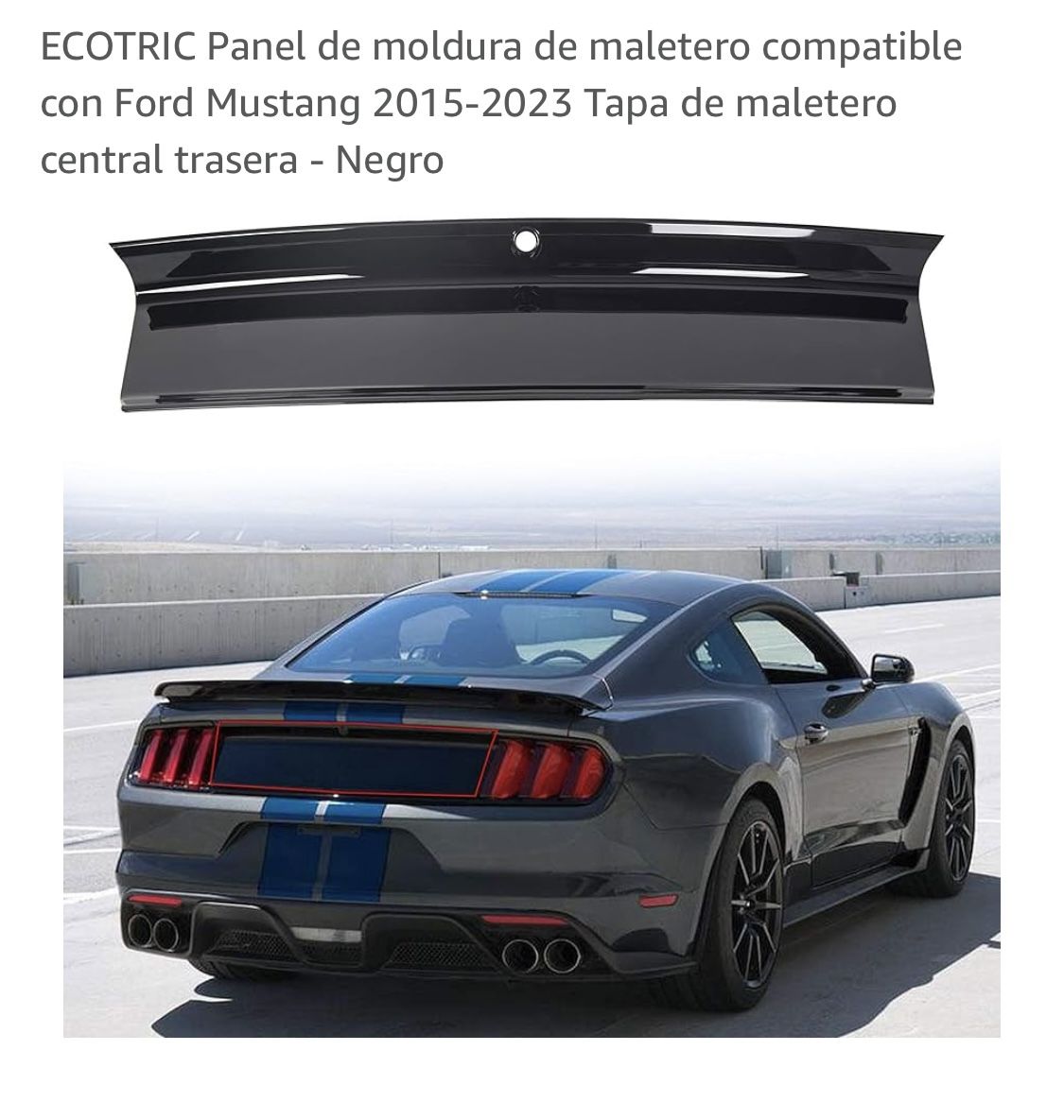Rear Decklid Trim Panel