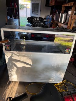 Ice cream cart on rollers