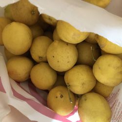 10 lb Bag Of Medium To Large Fresh Lemons