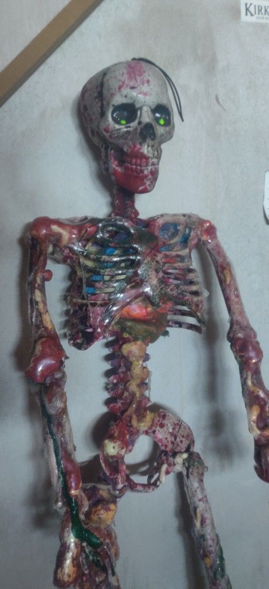 3ft Bloody Skeleton $100 18" Skeleton $50