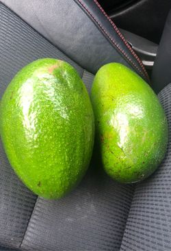 Aguacate los mejores de Miami en tamaño y cremoso los tengo yo