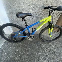 Mountain Bike Nishiki