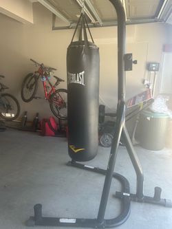 Punching bag and stand
