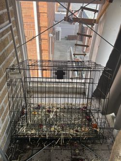 Pet Cage