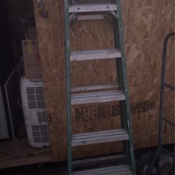 Escalera 6piez