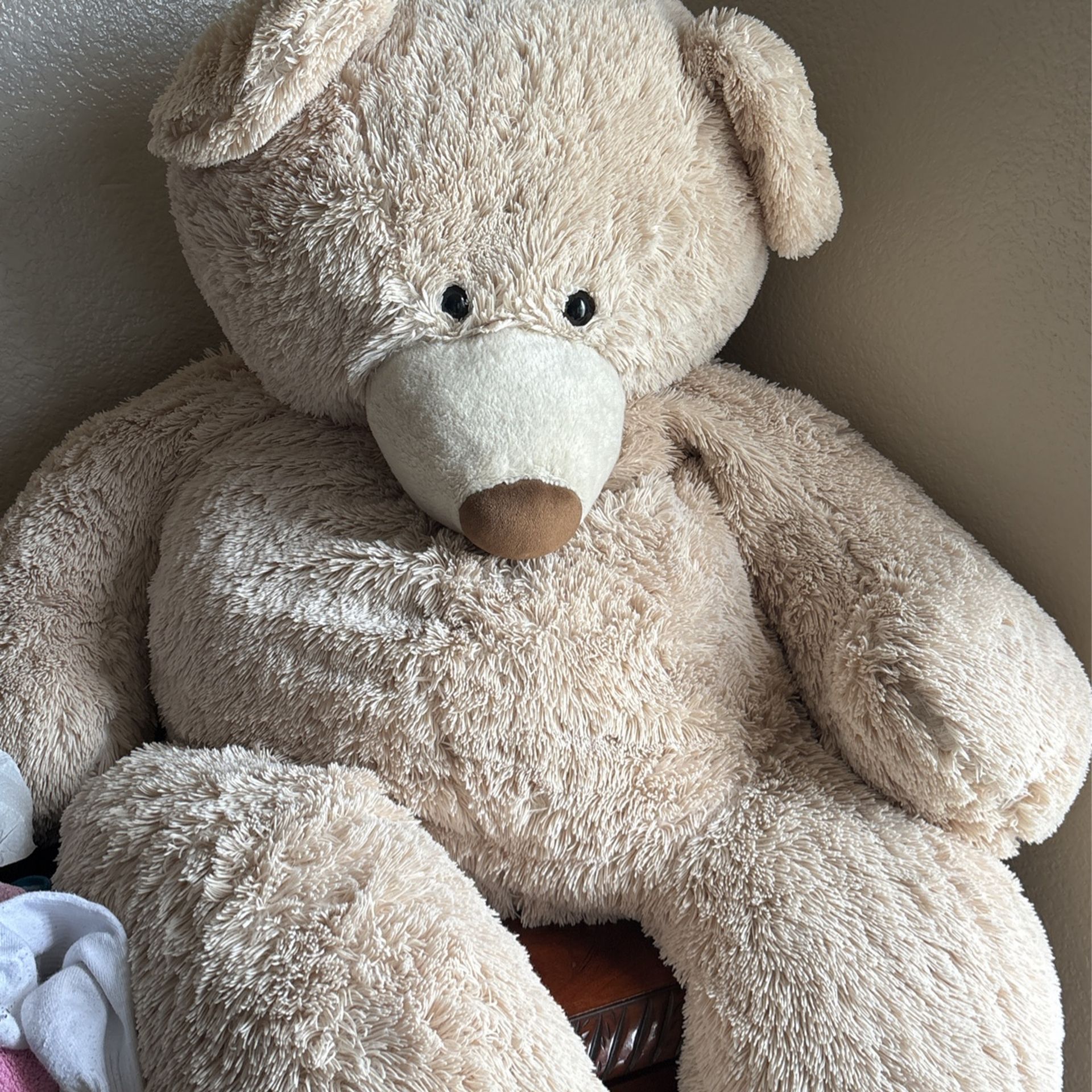 Big Huge Teddy
