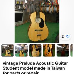 Vintage Guitar 