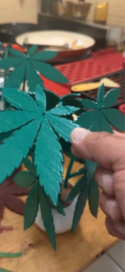 Hide away stash plant with six coasters