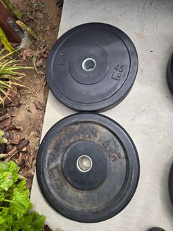 45LB Bumper Plates