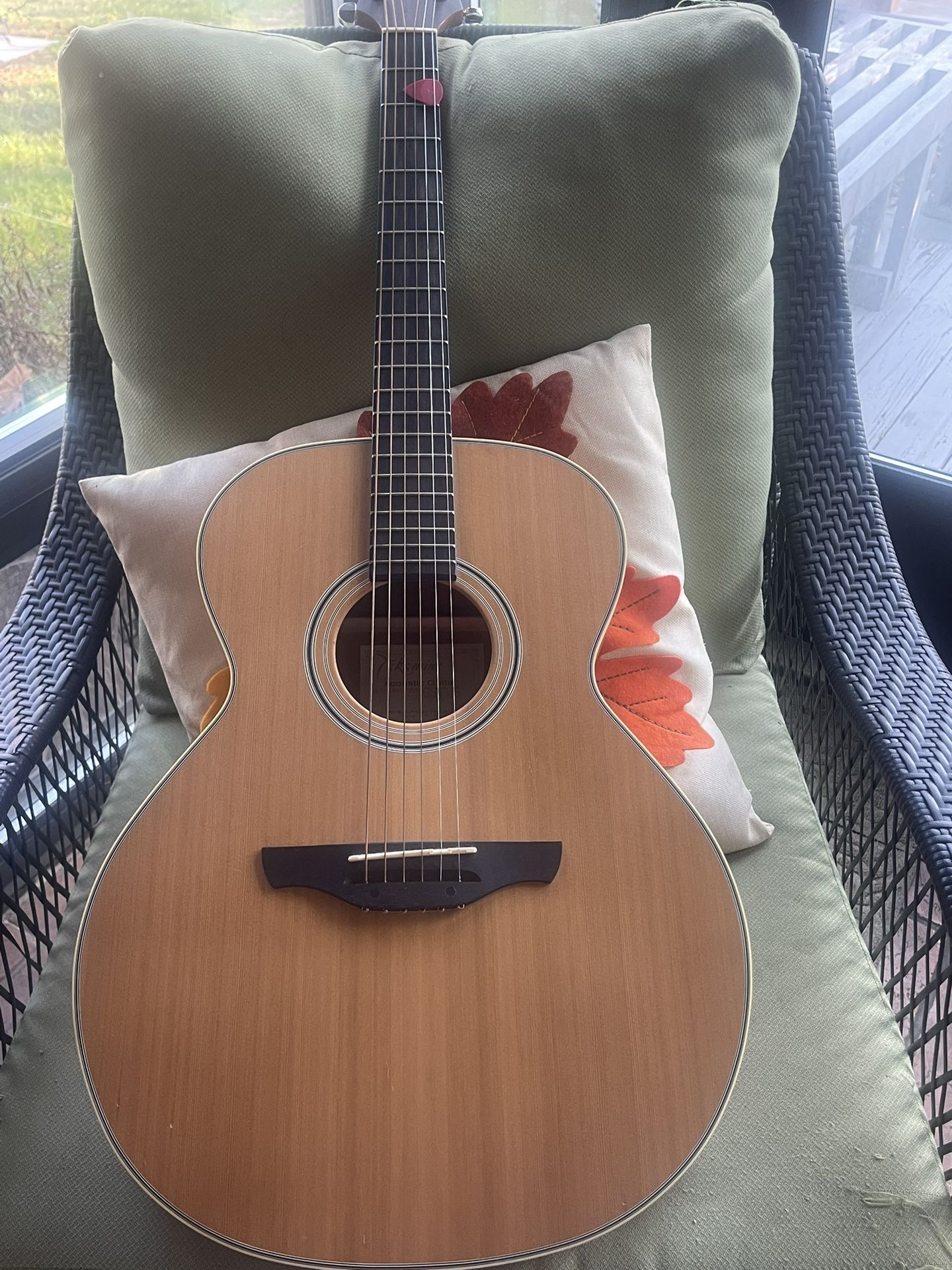 Takamine Acoustic Guitar GS430S Series