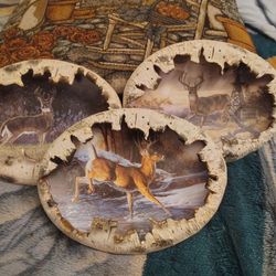 Deer Pictures 20.00