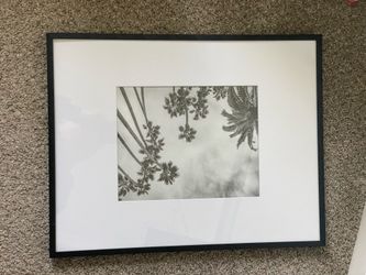 8x10 Picture Frame Black with White Mat