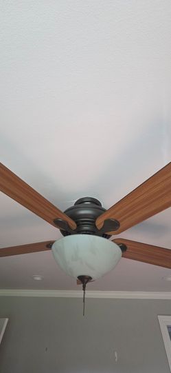 Ceiling fan, brown color