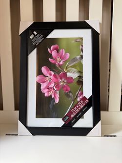 NEW studio picture frame 16x24x & 18x24 each $25