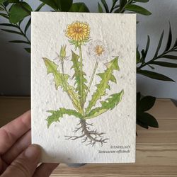 Dandelion Greeting Card, Plantable Seed Card | Wildflower & Herb Eco-Friendly Greeting Card | Recycled Paper Gift for Garden Lovers