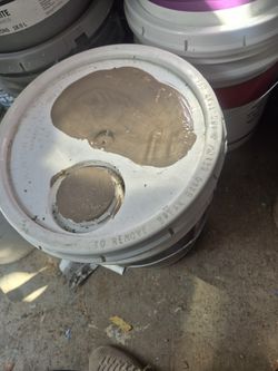 Varias Pintura S Exterior Y Interior $95 Cada Una 