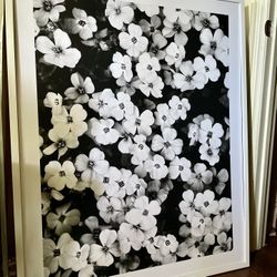 Framed Floral Print