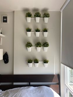 Plants (plastic)