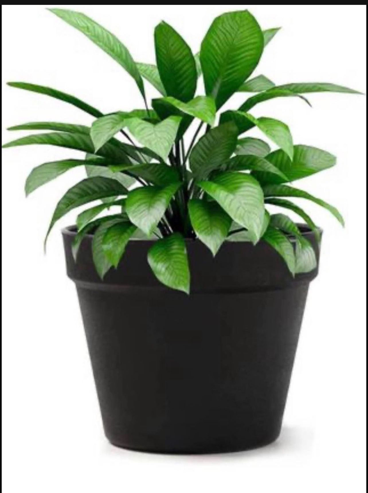 Brandnew Plant Flower Pot, 6 inch Plastic Planter, for Tabletop Plant & Hanging Planter - Pack of 6