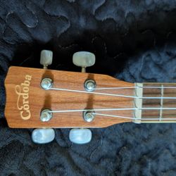 Ukulele Cordoba C10